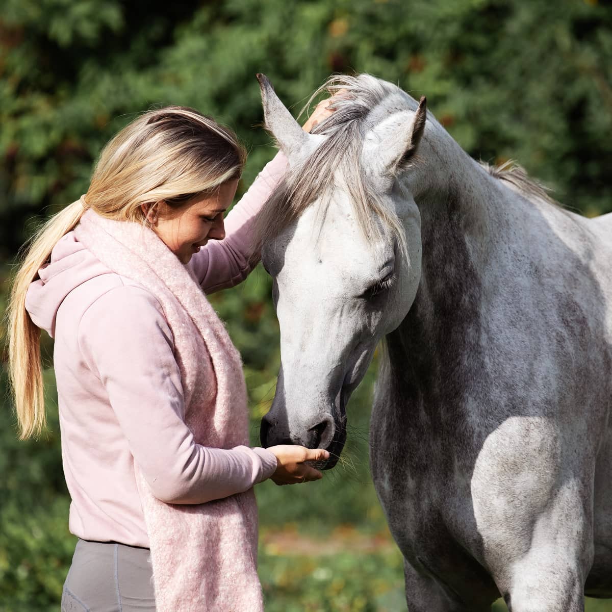 Equine Therapy horse and patient Equine Therapy horse and patient