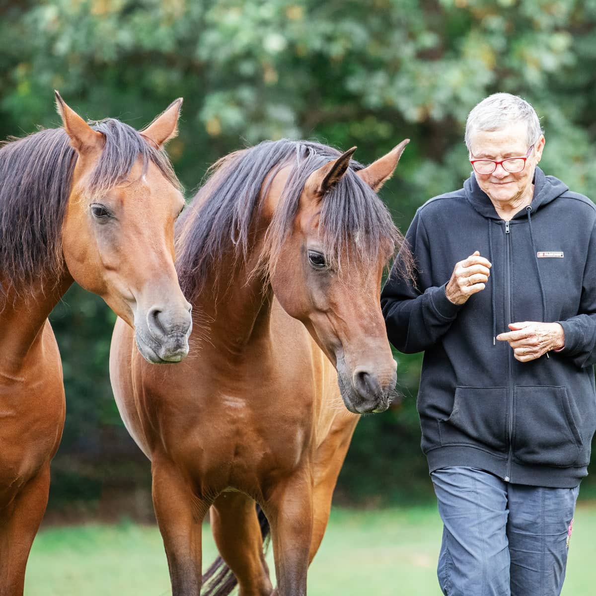 Equine Therapy horses and patient_1200 Equine Therapy horses and patient